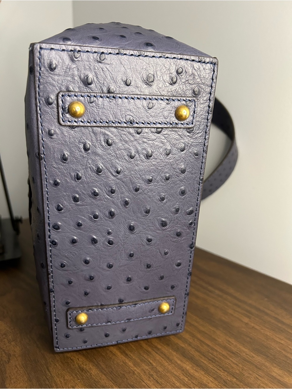 Dooney & Bourke NWT Blue Ostrich-Embossed Leather Brynn Bag Buckle Accent - Picture 13 of 14